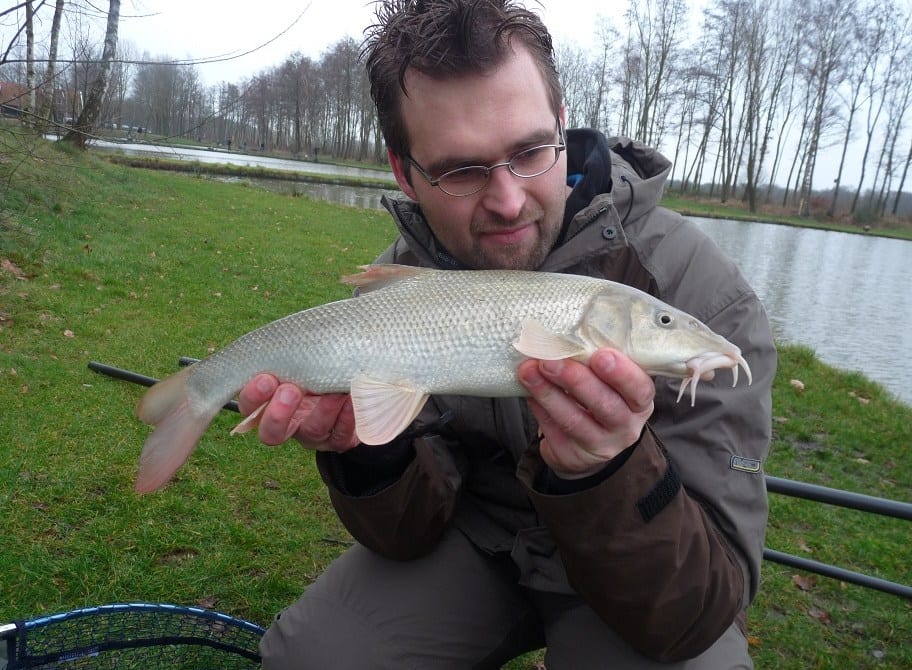 Barbeel - Wild Bijzonder vissen