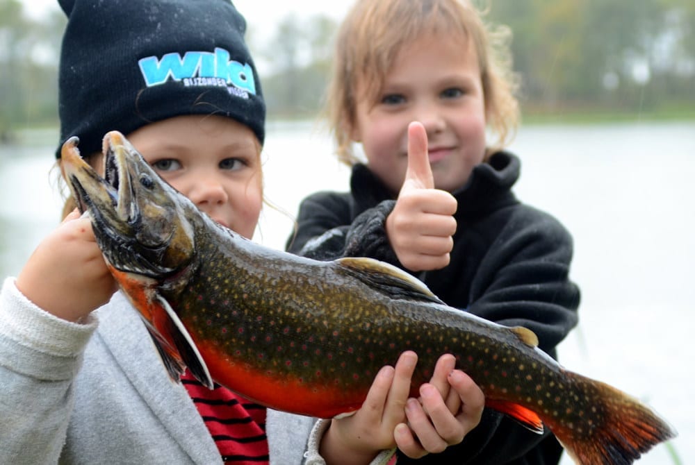 Beekridder - Wild Bijzonder Vissen