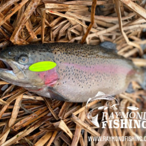 Raymond fishing meets WILD 2025